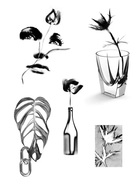 plantsnpokes