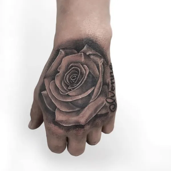 Rose, Flower