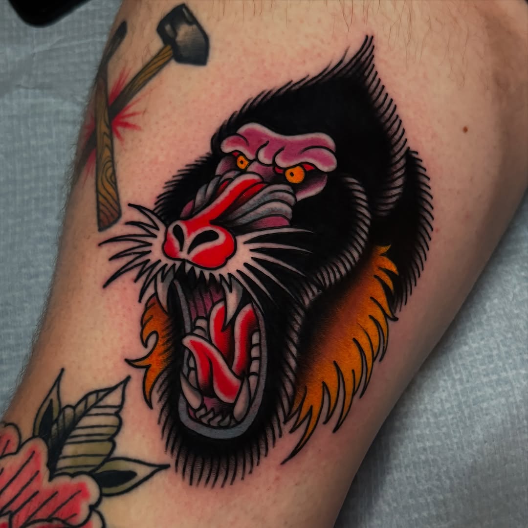 Tiger, Animal