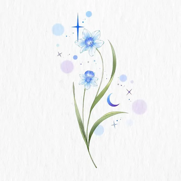 Flower, Nature