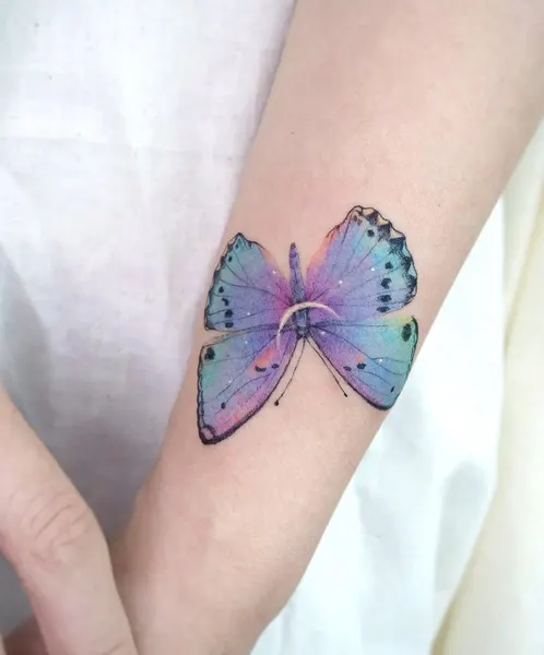 Animal, Nature, 나방