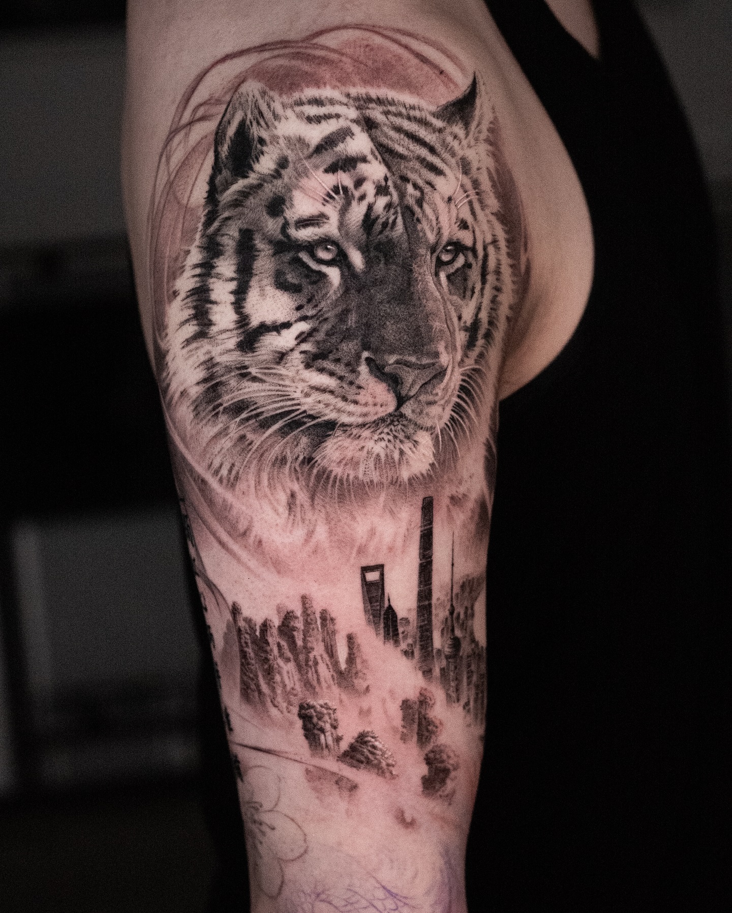 Tiger, 중국 호랑이
