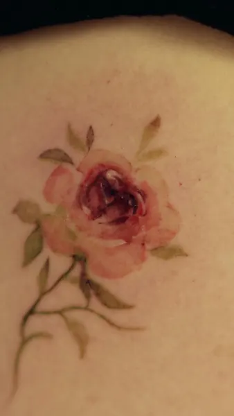 Flower, Rose