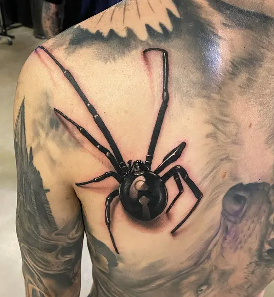 Animal