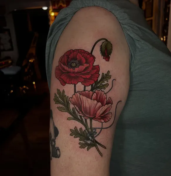 Flower, Rose