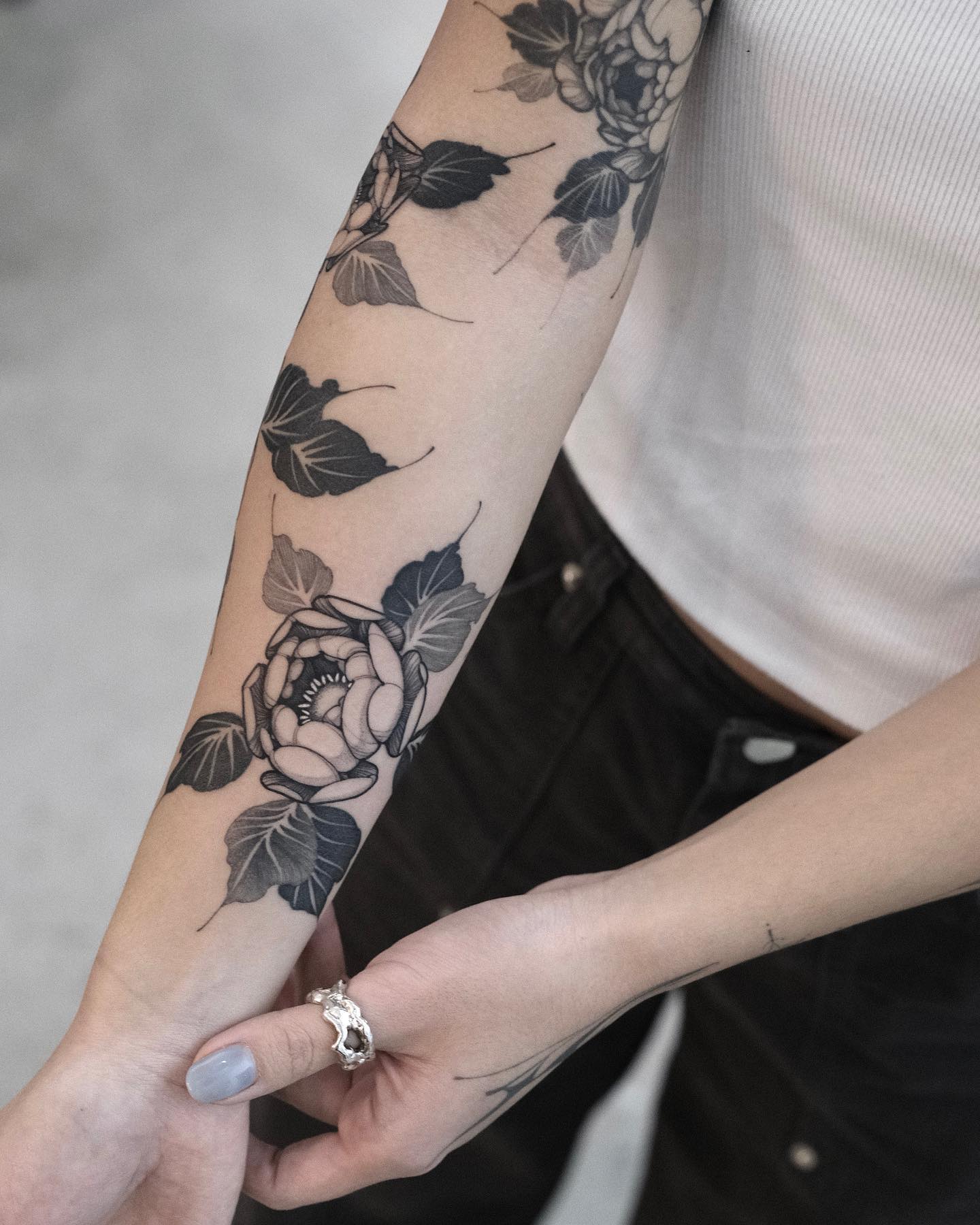 Flower, Rose, Nature