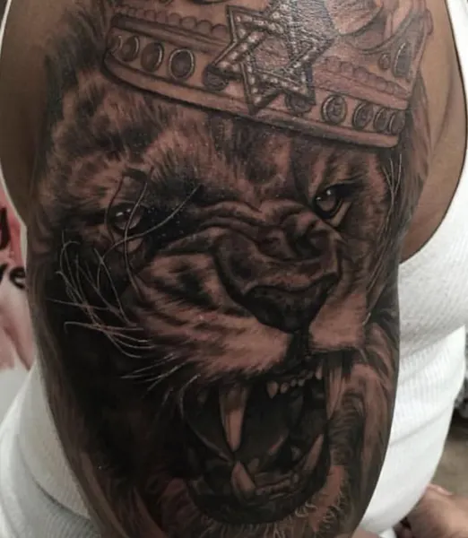 Tiger, Animal