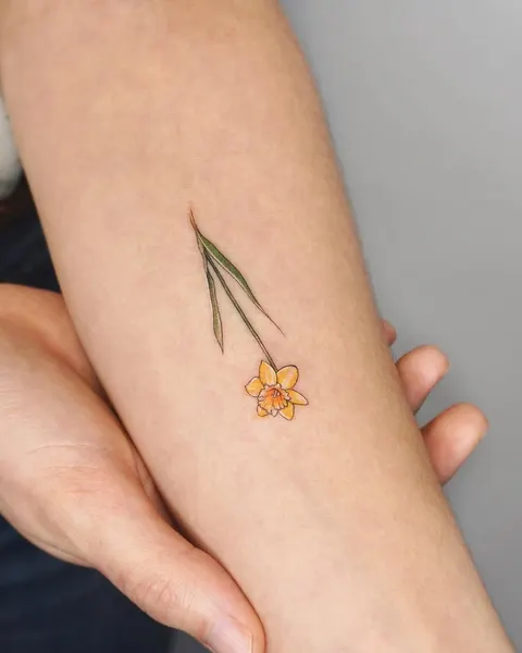 Flower, 풀, 수선화, 카네이션, 백합, 튤립, 야생화, 아이리스