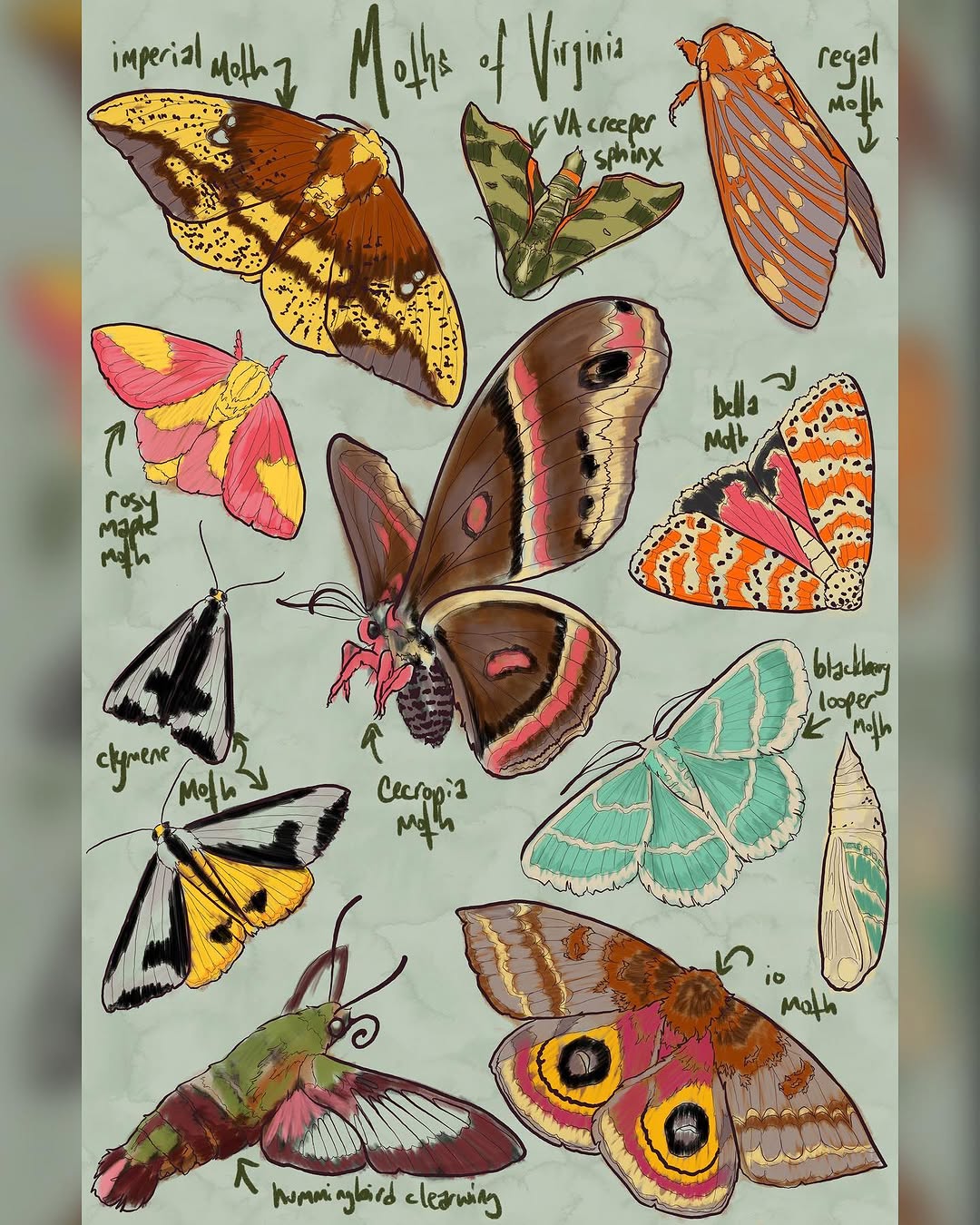 vitrioltattoo