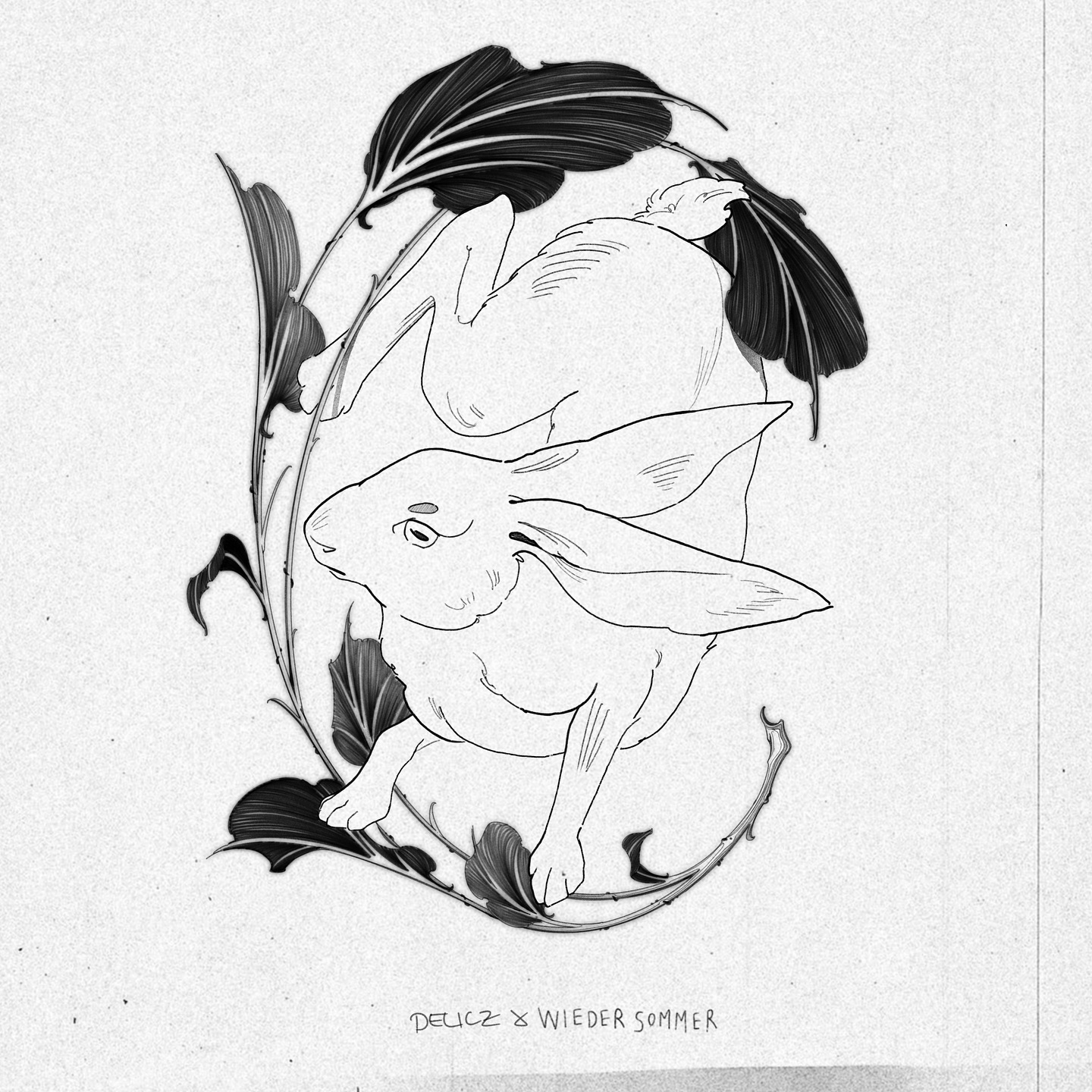Animal, 토끼