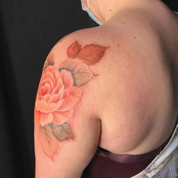 Flower, Rose, Nature