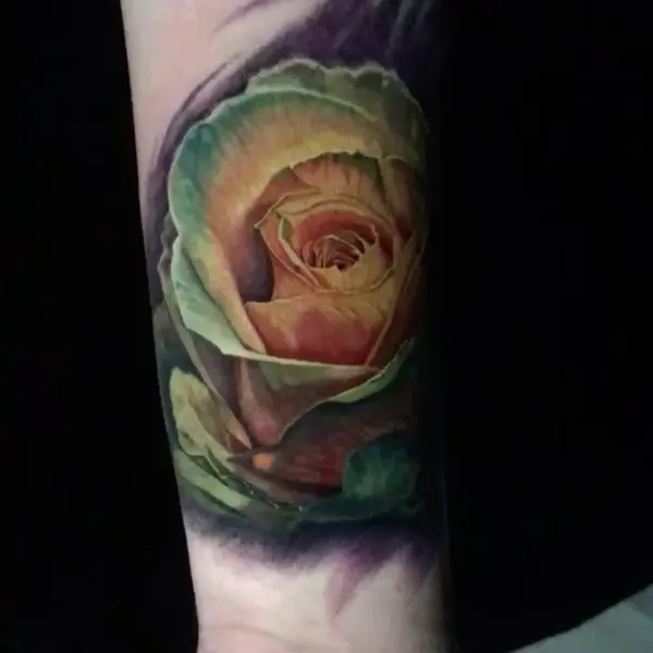 Flower, Rose