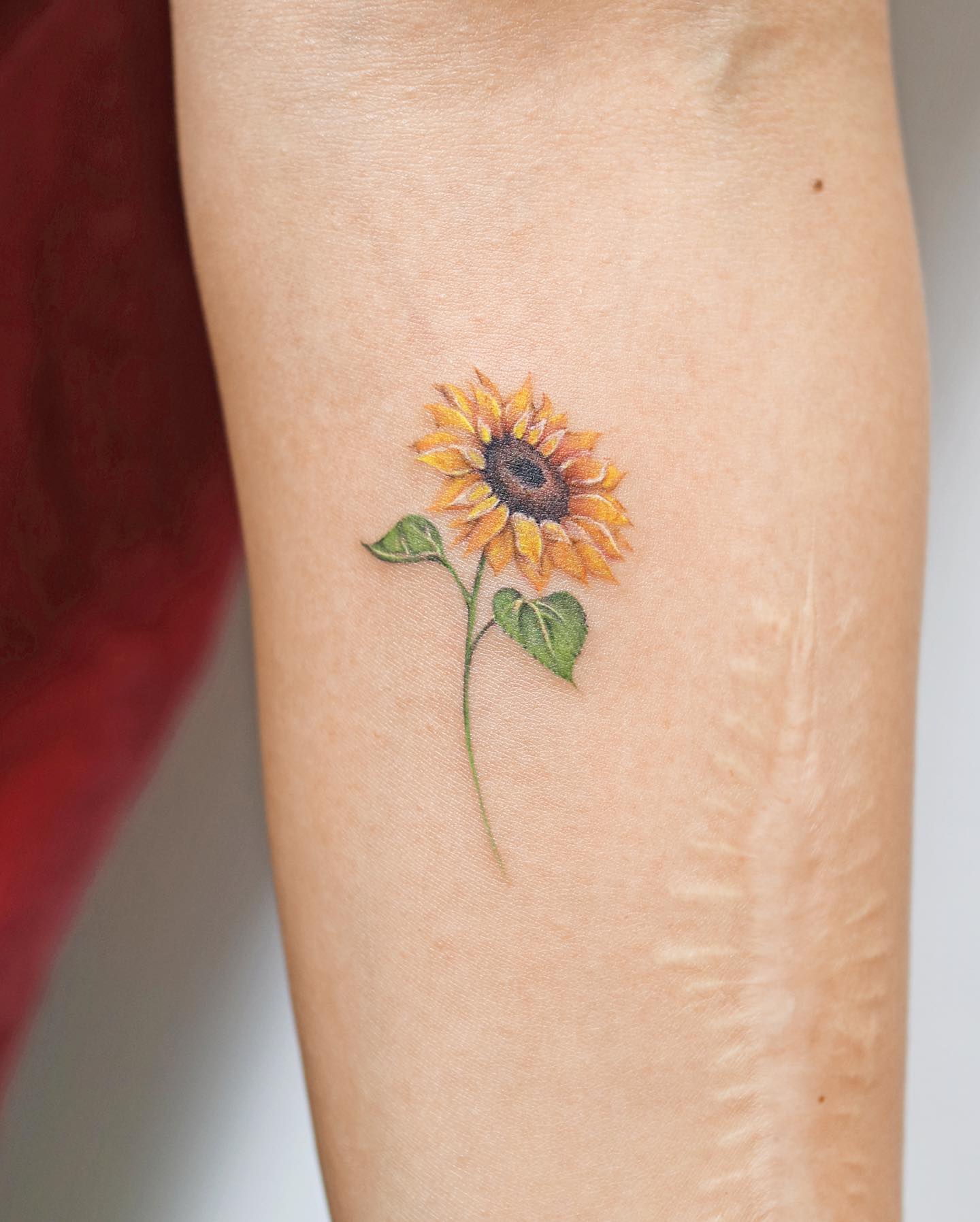 Flower, 해바라기