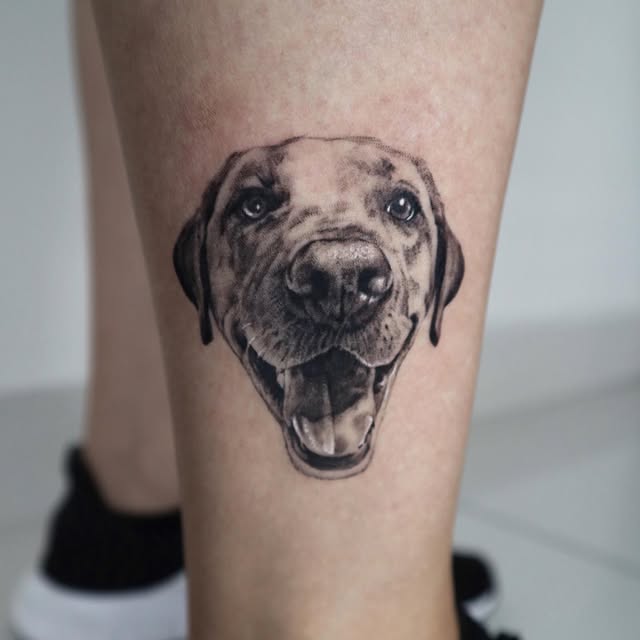 Animal