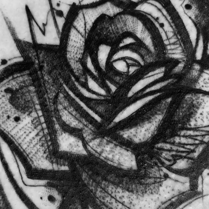 Flower, Rose
