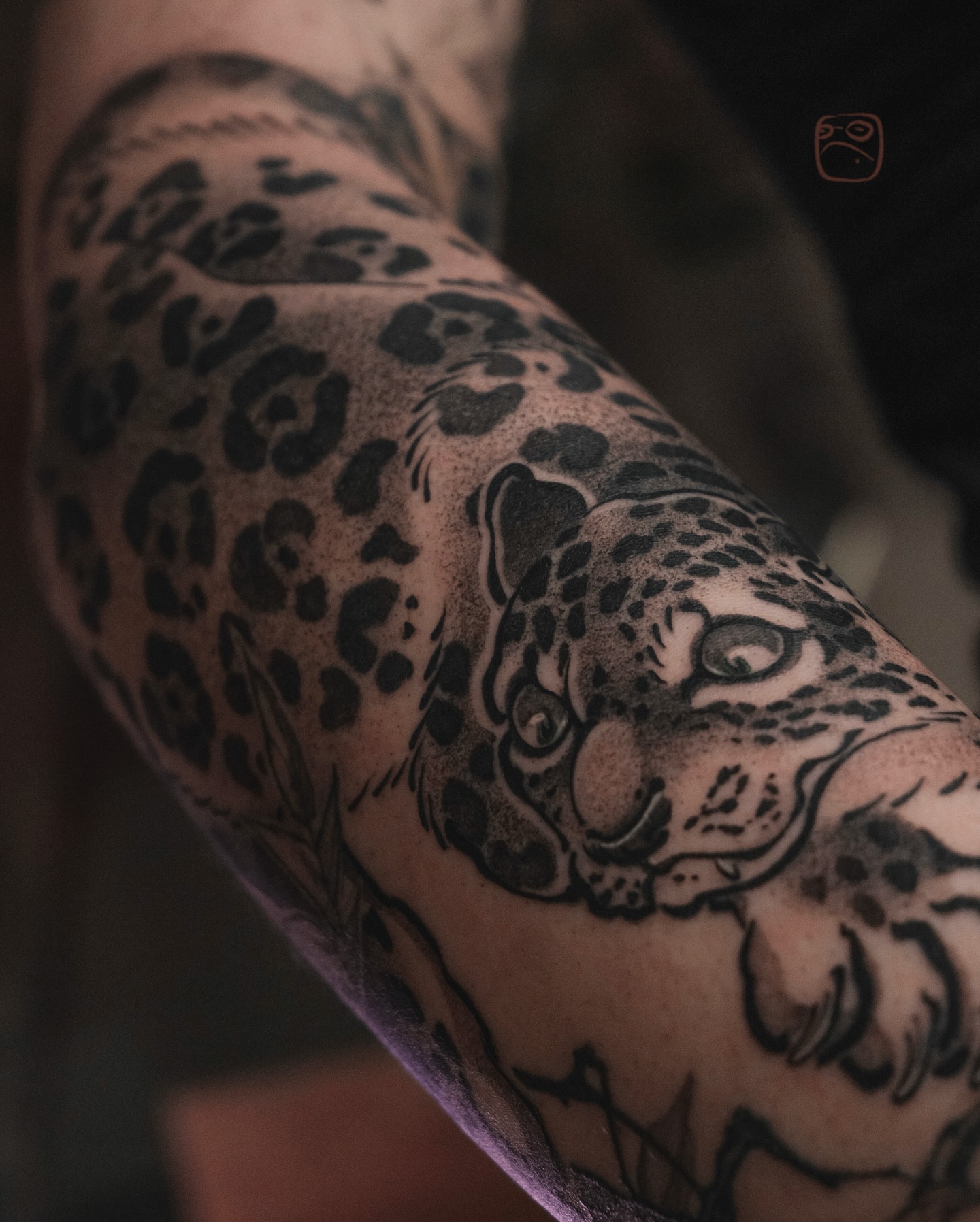 Animal, 표범, Tiger, 재규어