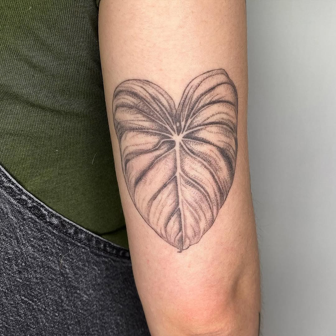plantsnpokes
