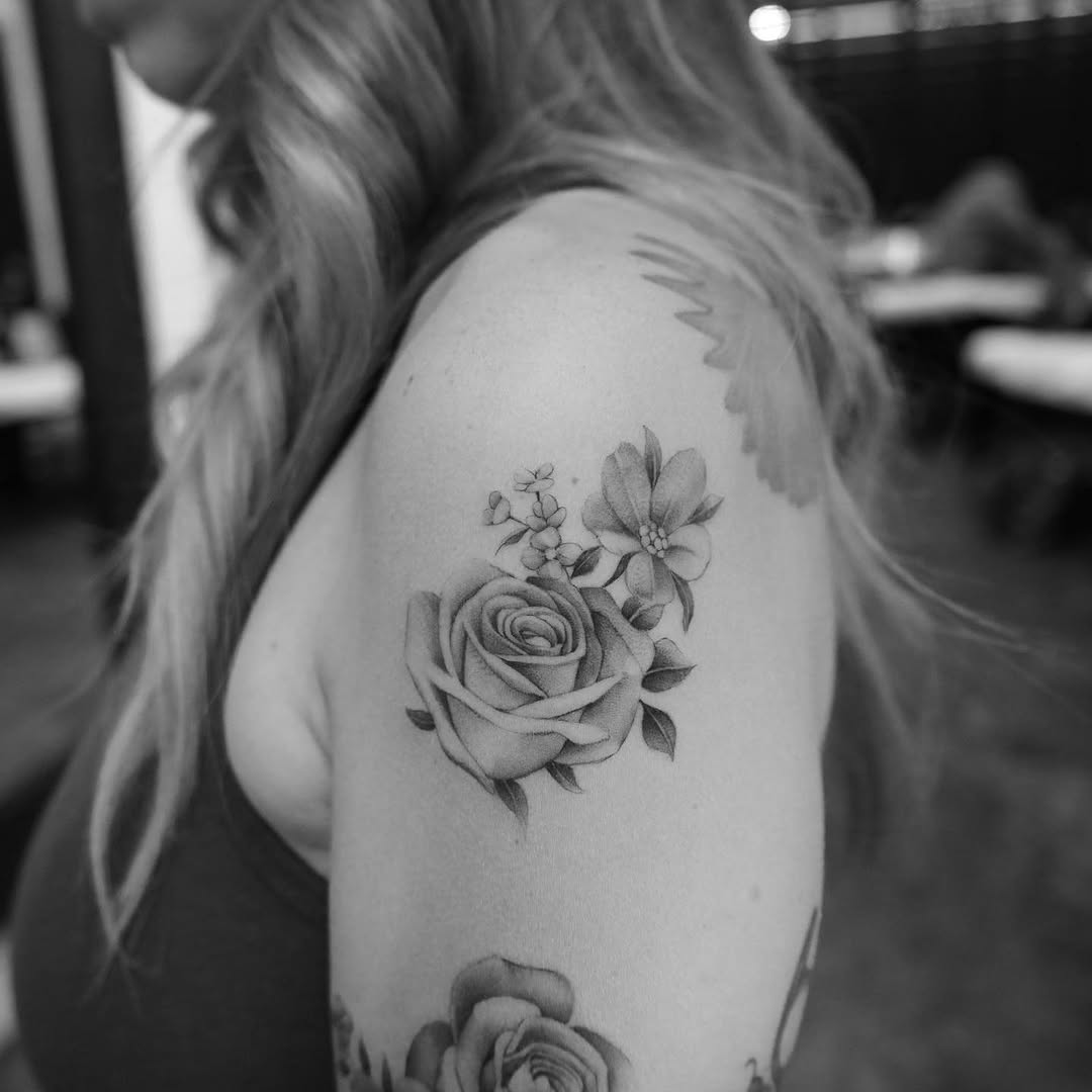Flower, Rose, Nature
