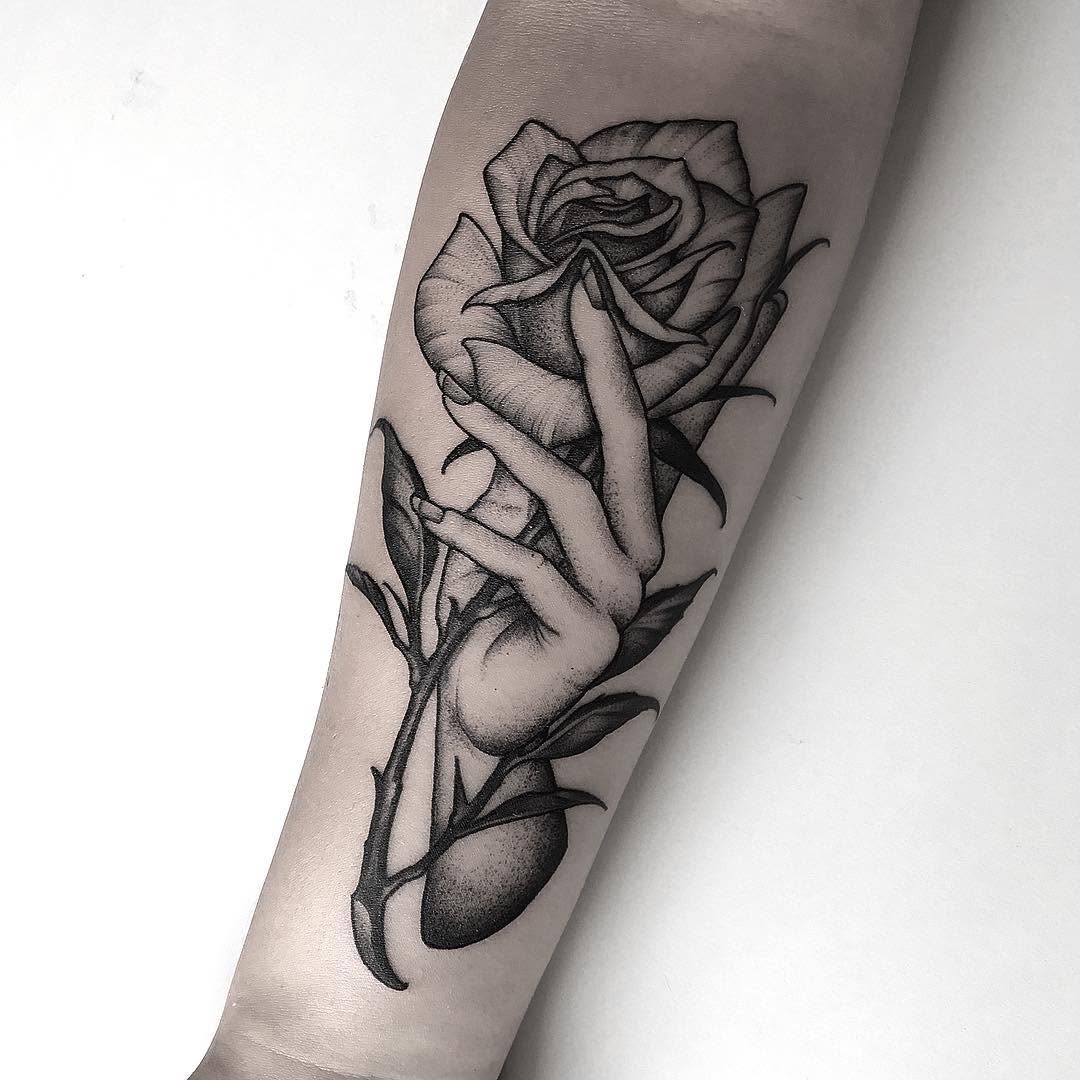 Flower, Rose