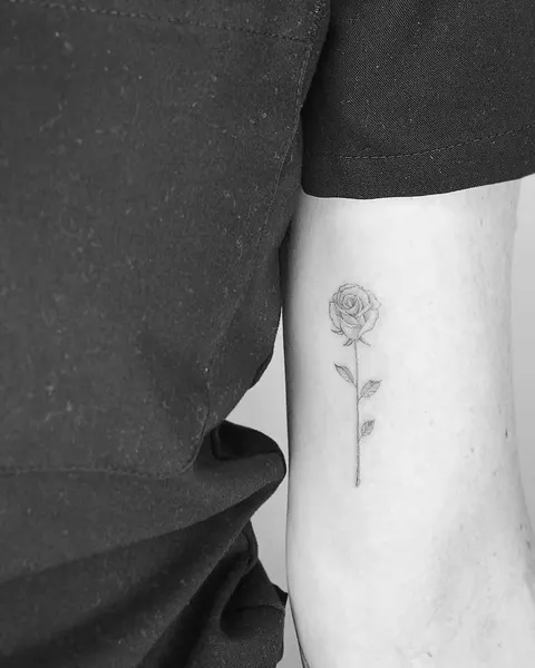 Flower, Rose