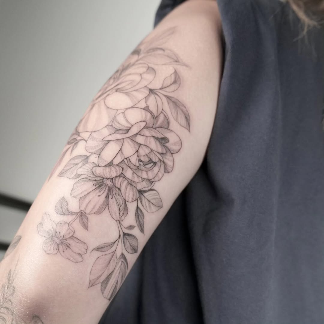 Flower, Rose, Nature