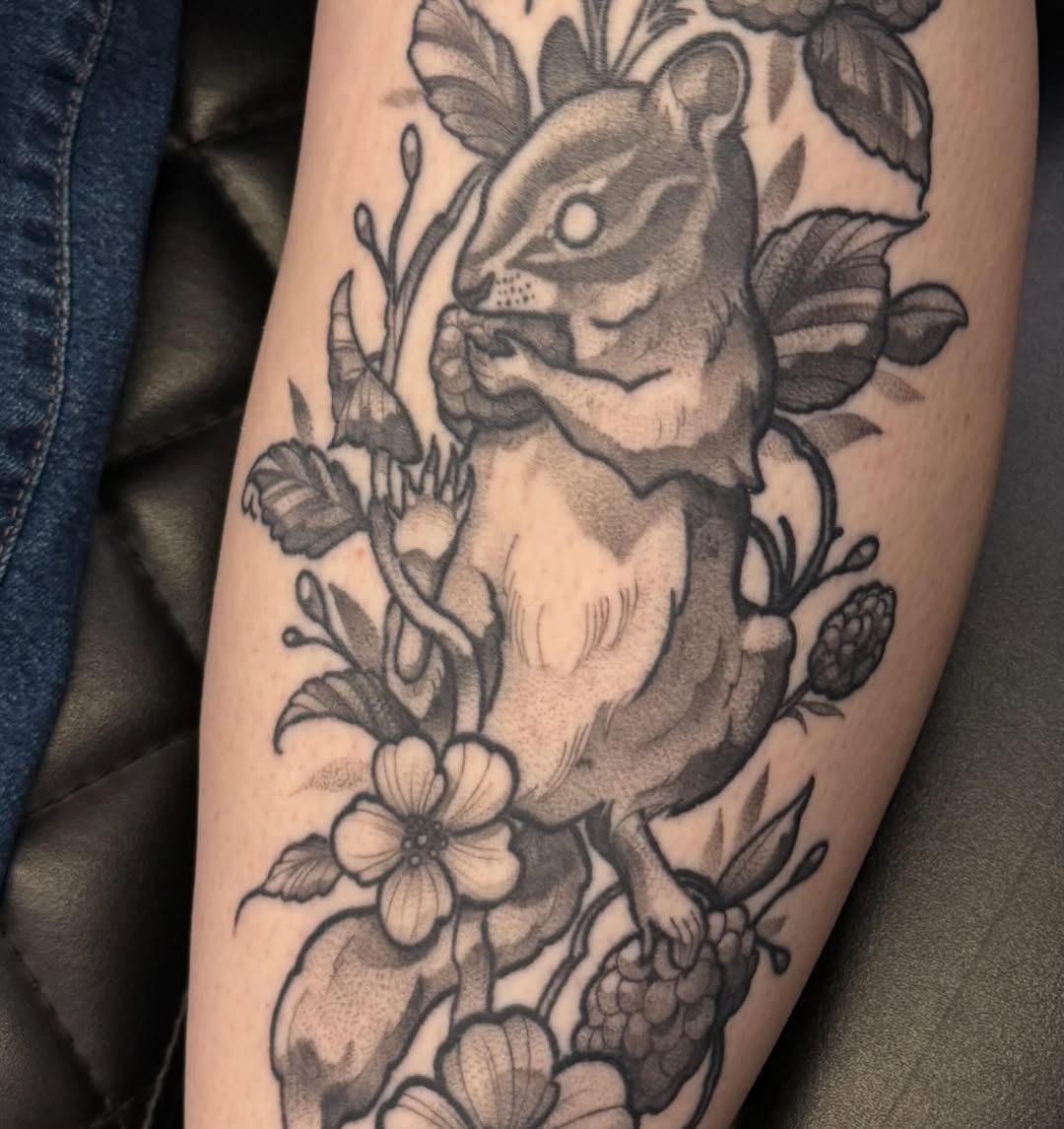 sarastigmata