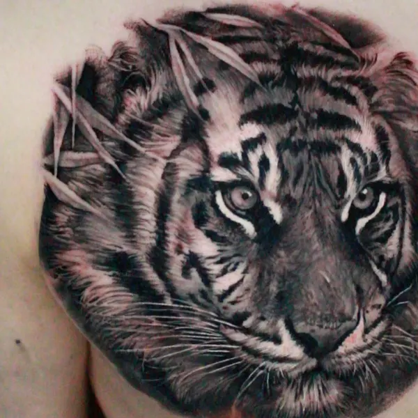 Tiger, 중국 호랑이