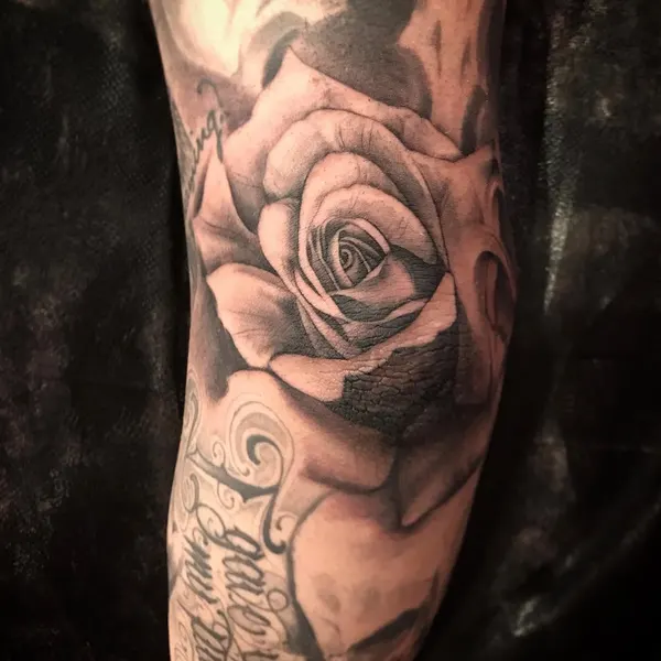 Flower, Rose