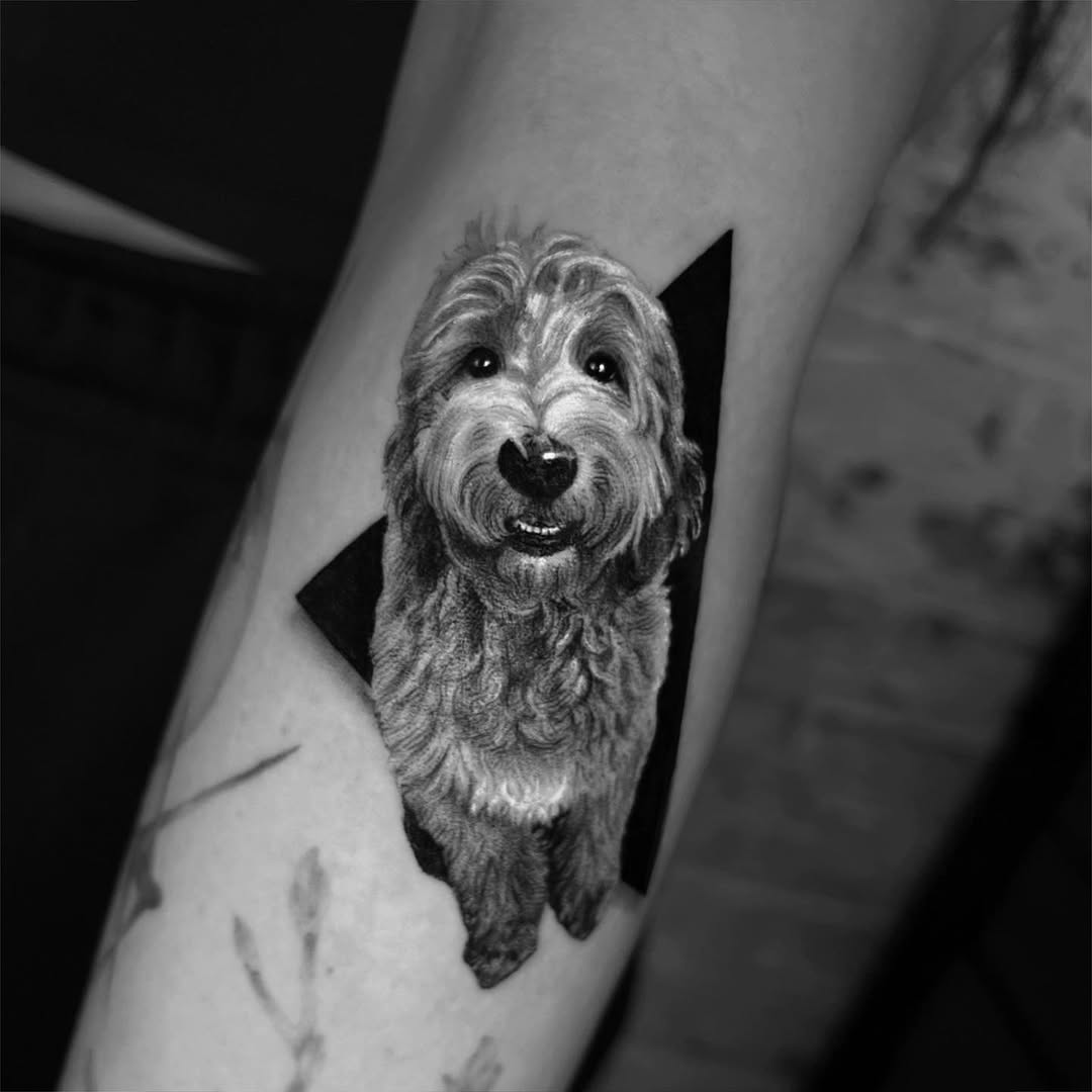 Animal