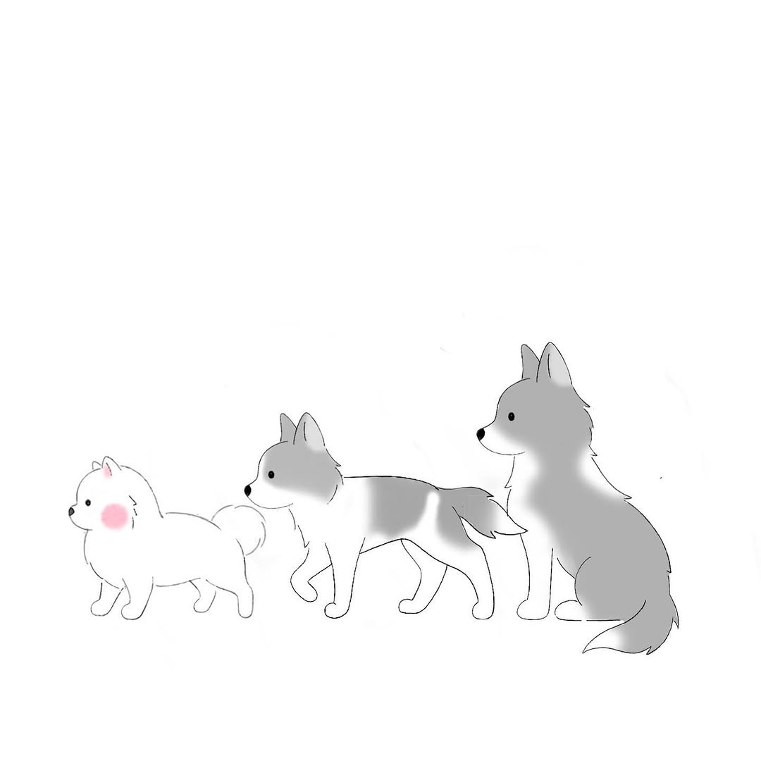 Animal