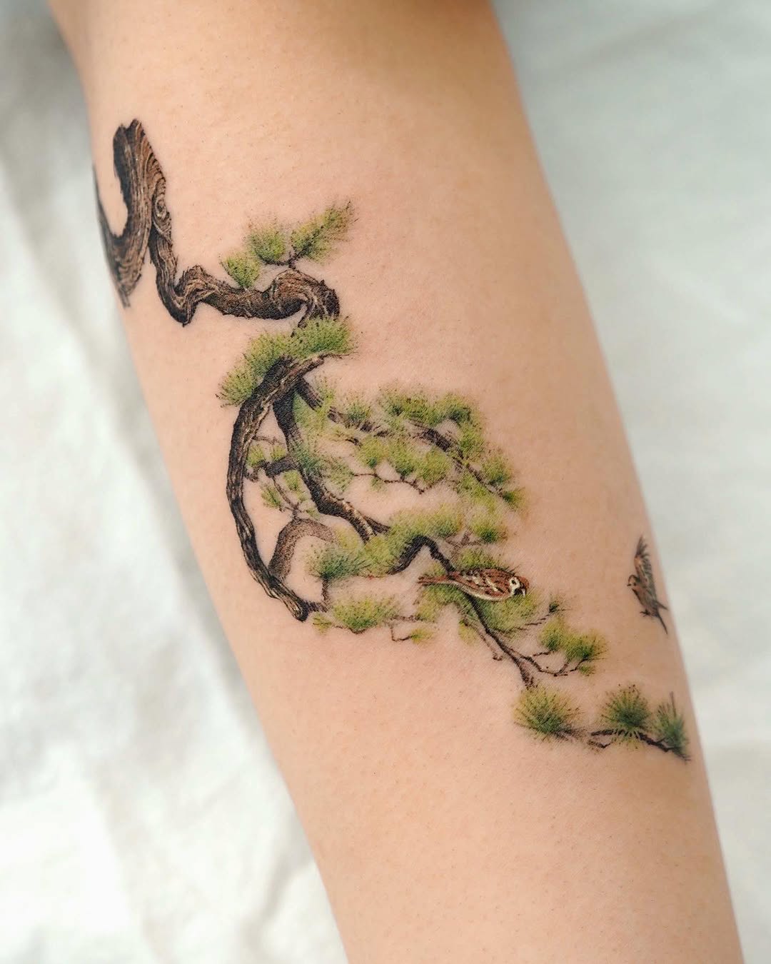 Nature, 나무