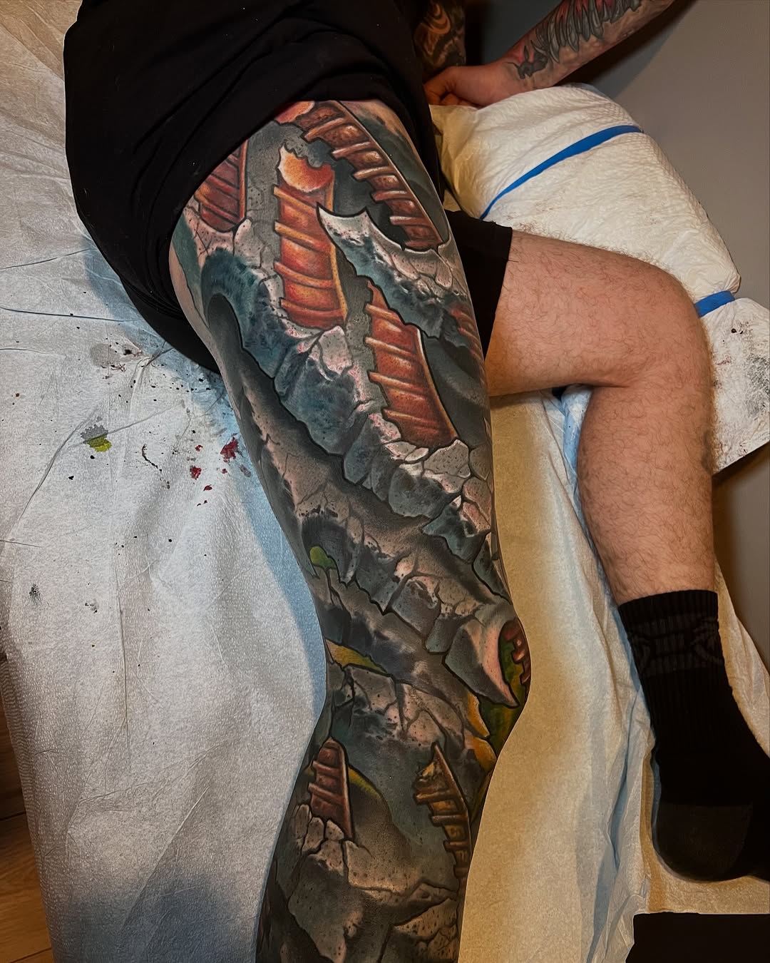 Dragon, Animal