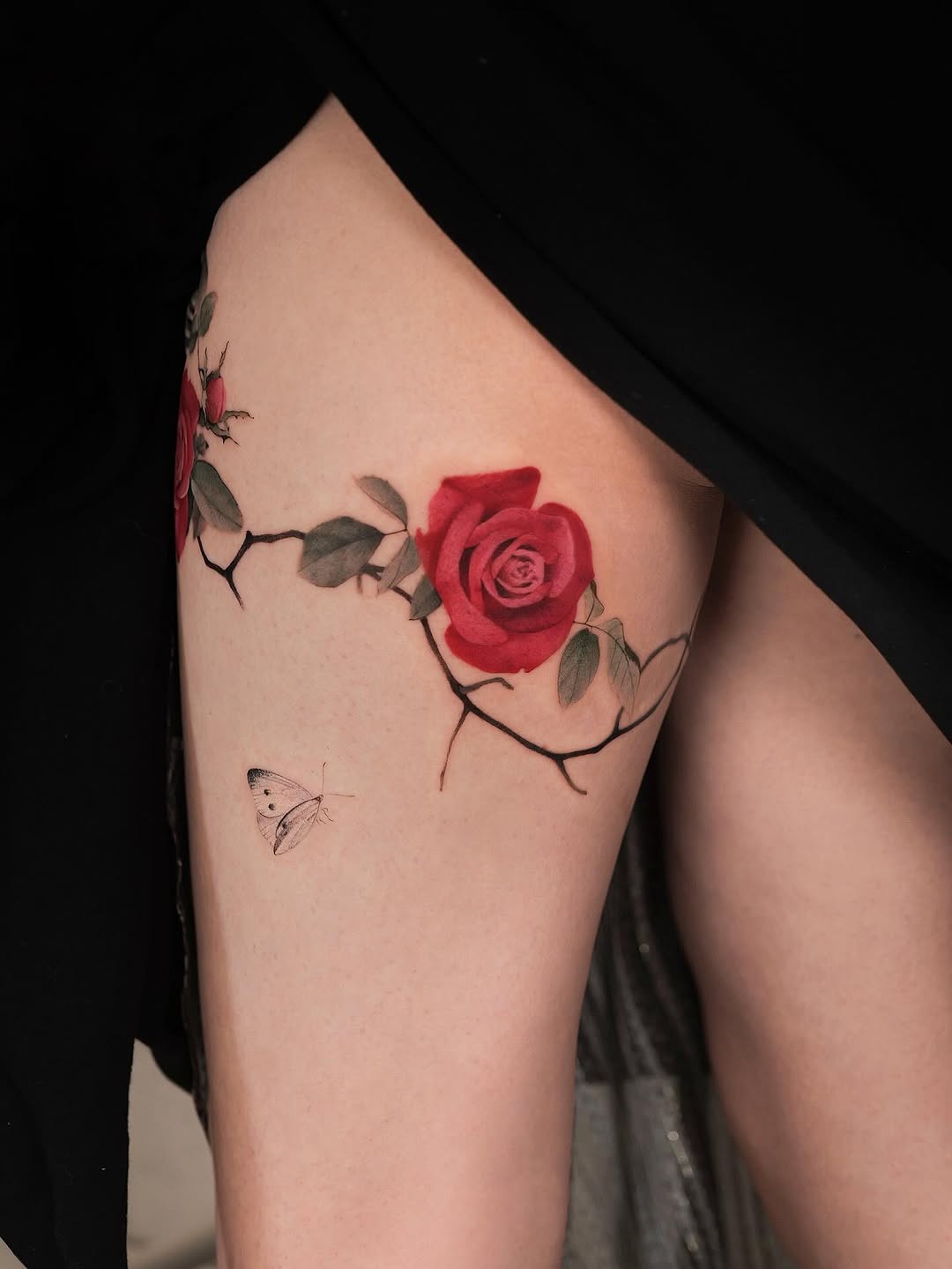 Rose, Nature, Flower
