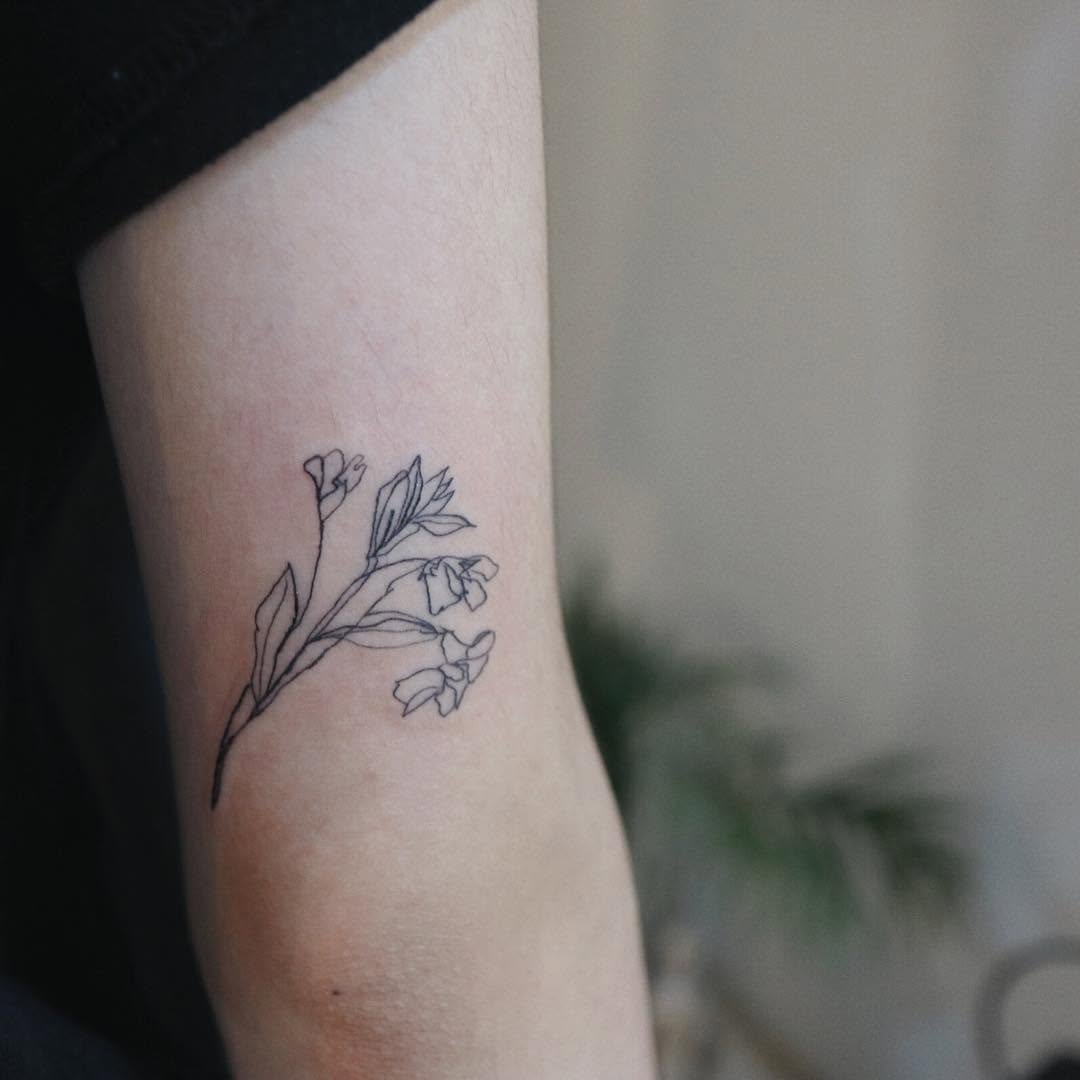 Flower, Rose
