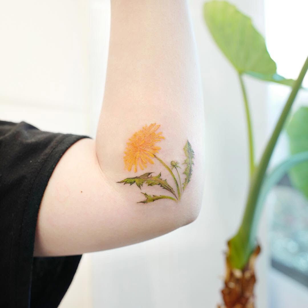 잎, Flower, 은행잎