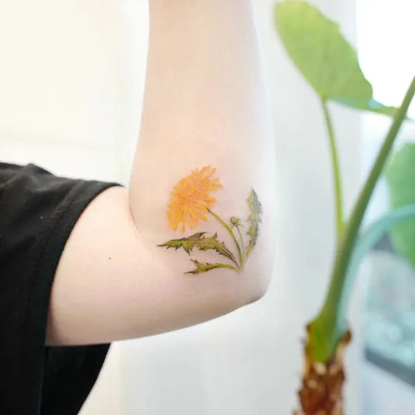 잎, Flower, 은행잎