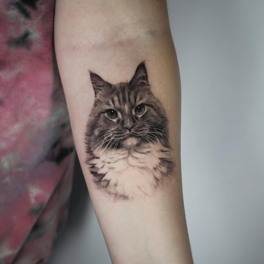 Animal
