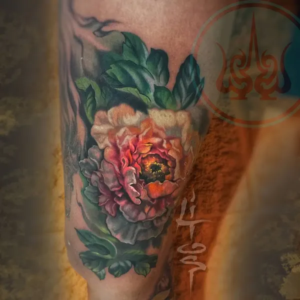 Flower, Rose