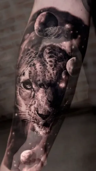 Animal