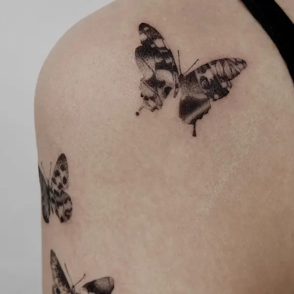 Animal, Nature, 나비
