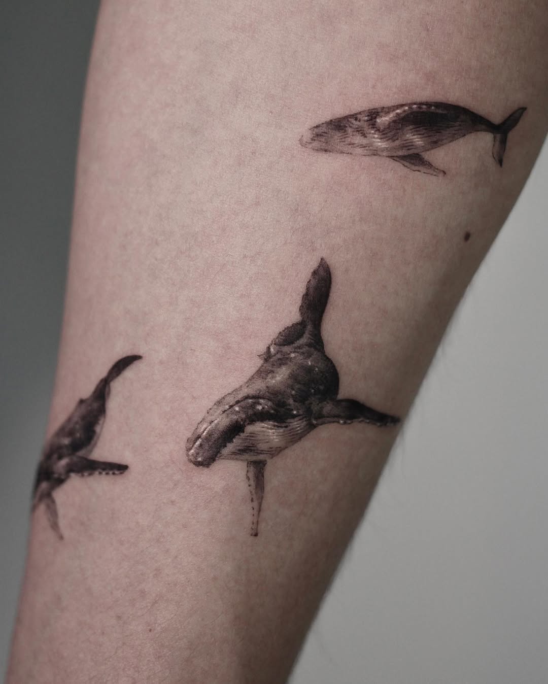 40.tatt