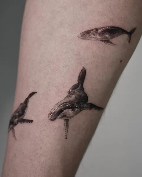 40.tatt