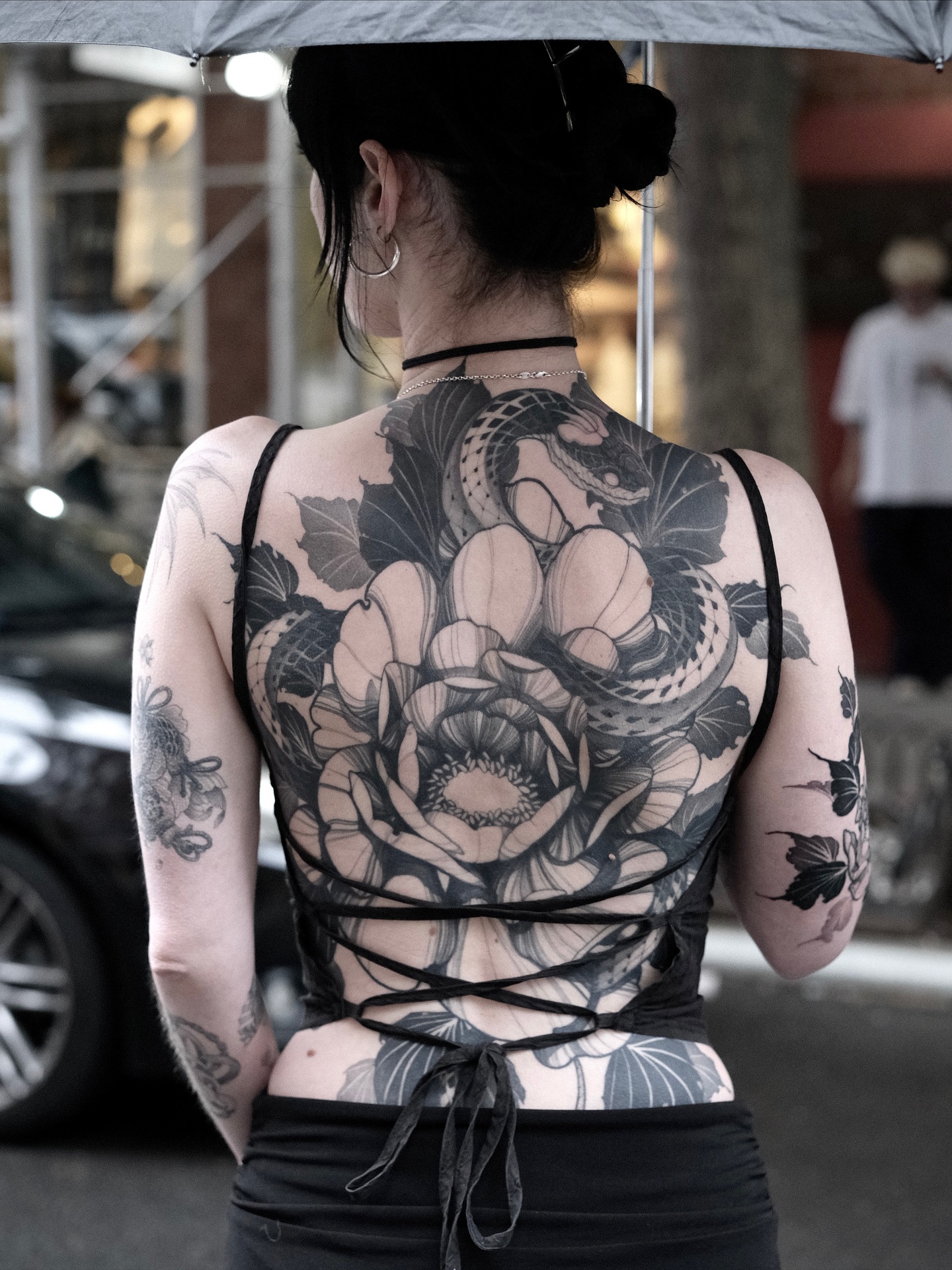 Flower, Rose, Nature