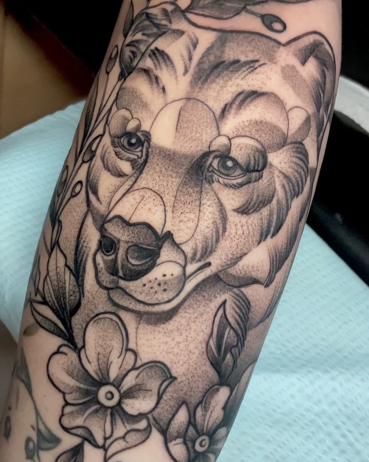 sarastigmata