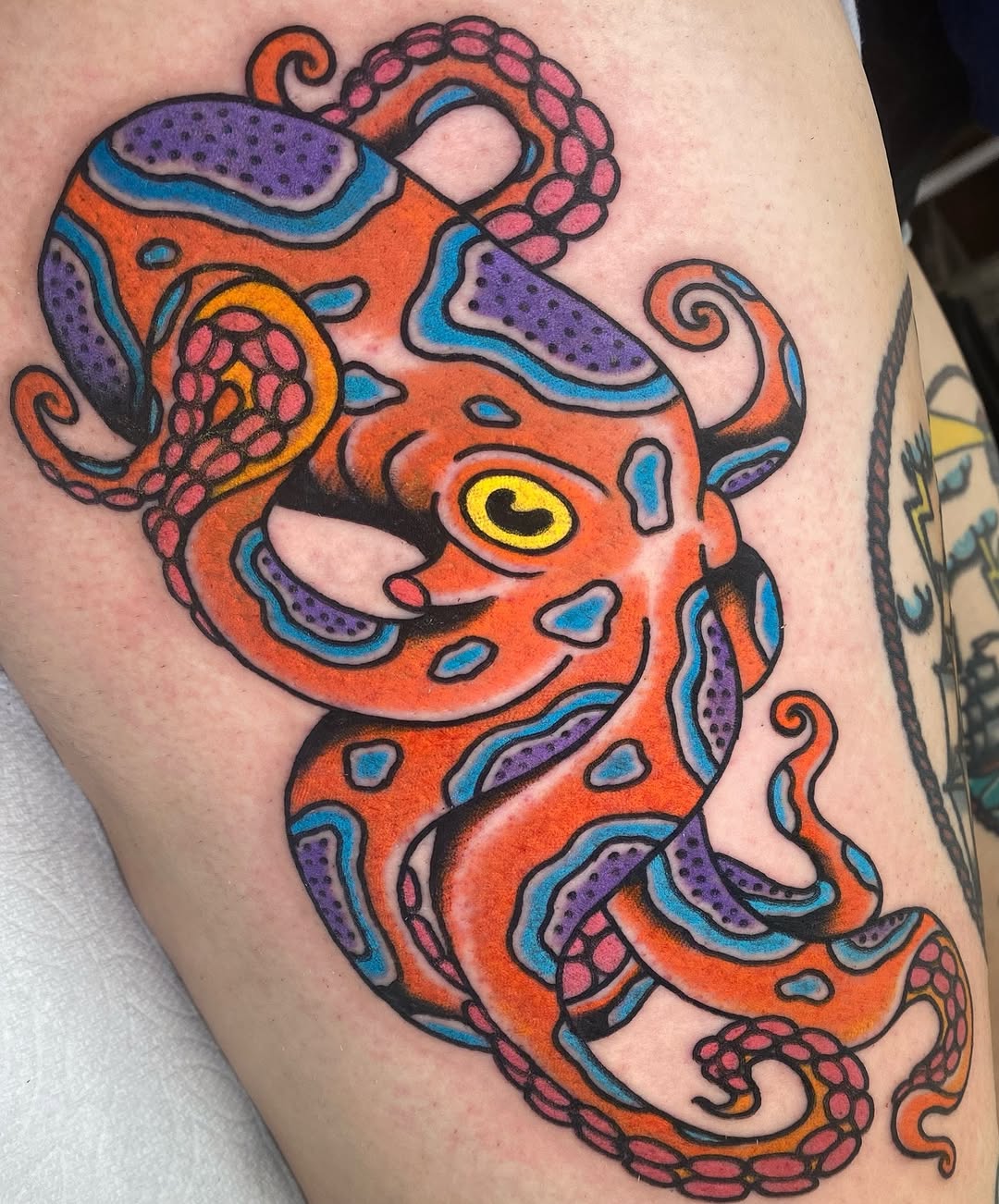 Animal, Dragon