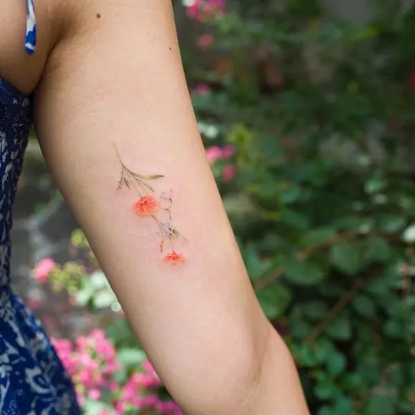 Flower, Rose