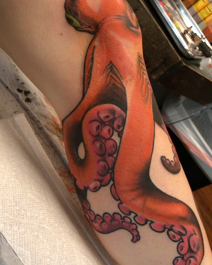 Animal