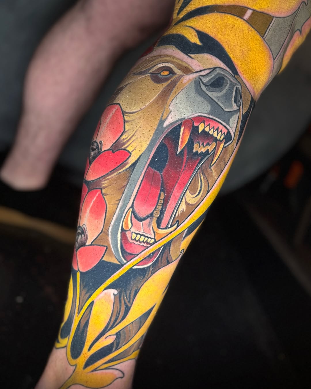 Tiger, Animal