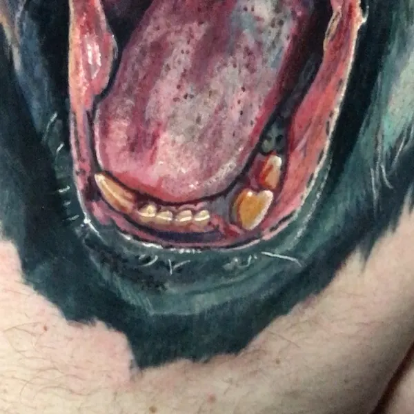Animal, Tiger