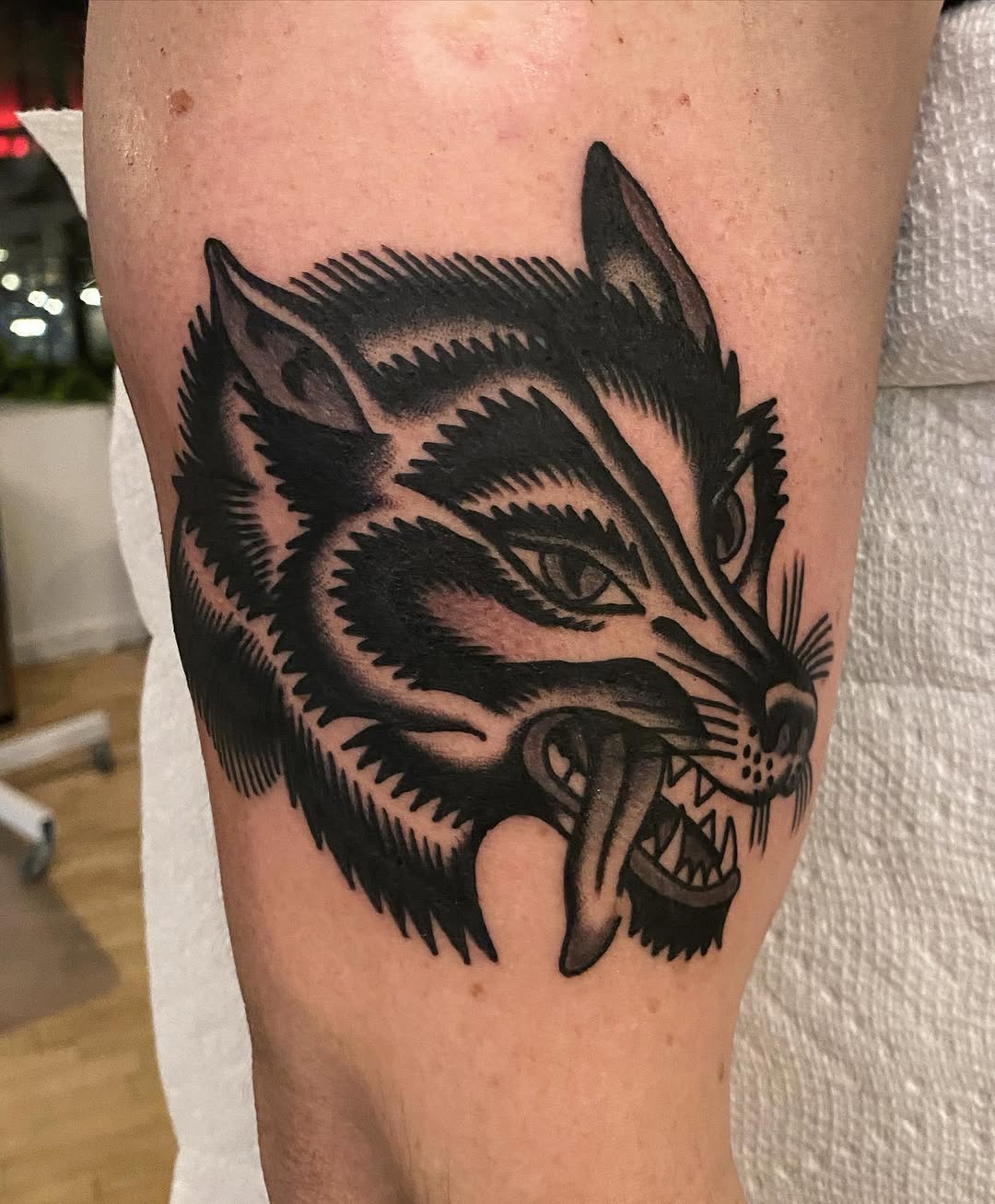 Animal, Tiger
